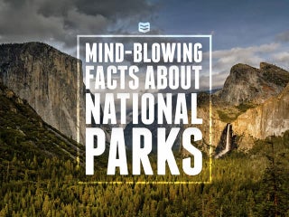 Mind-Blowing Facts About National P...